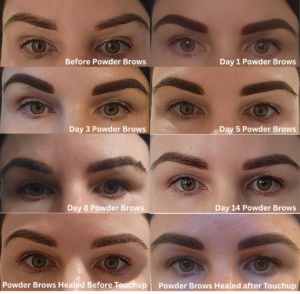 Powder Brows Day by Day healing progress