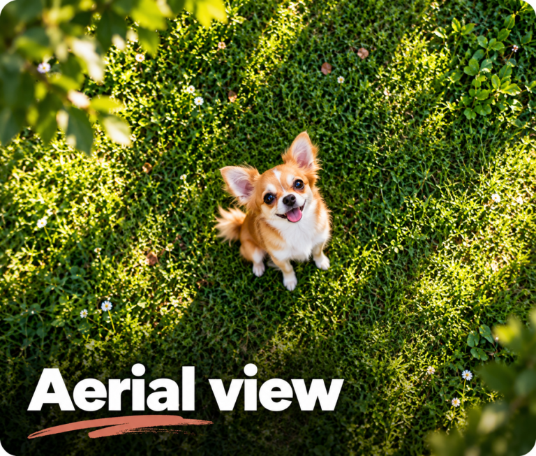 Viral ChatGPT Prompt - Aerial View